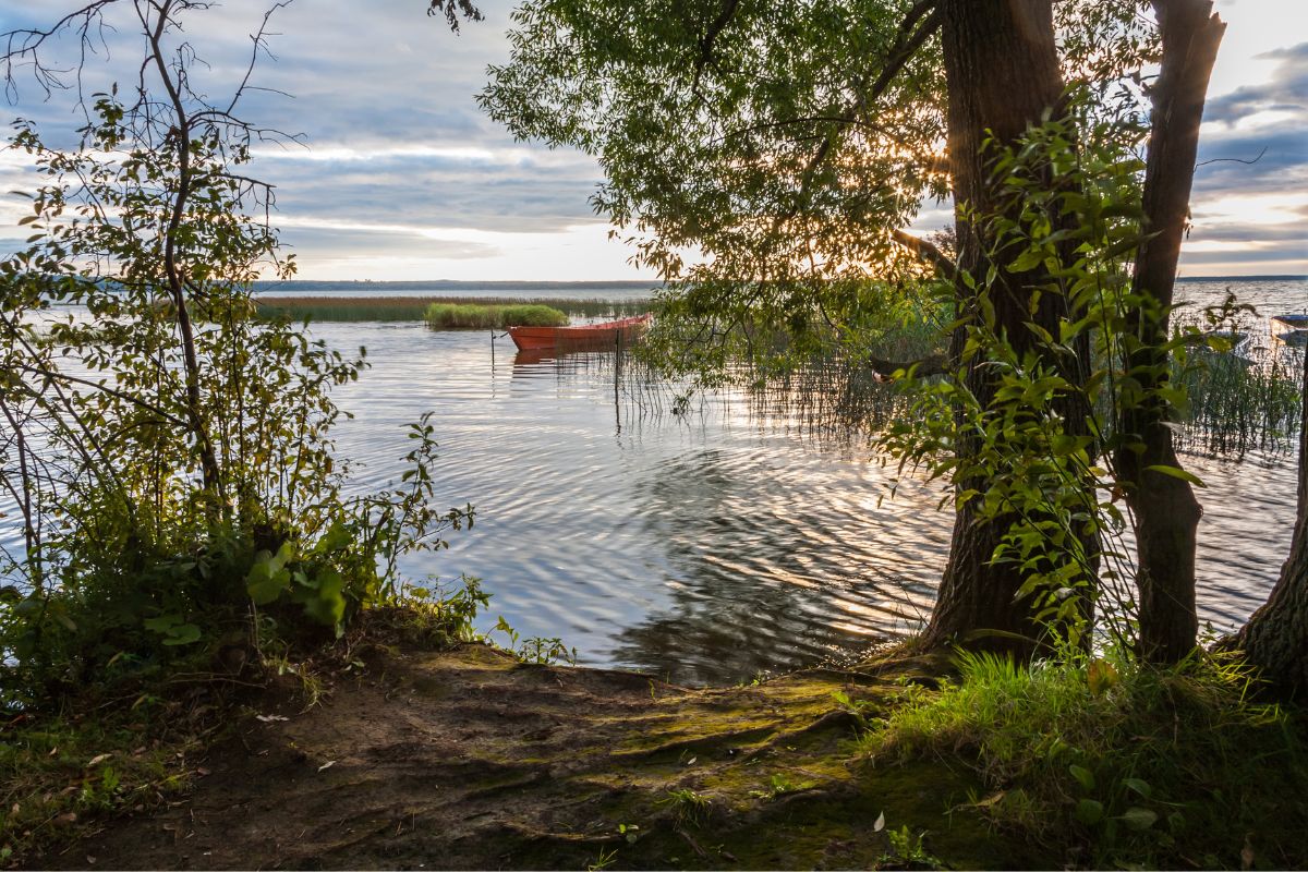 Psycheclinic-powoli zbliża się koniec wakacji
